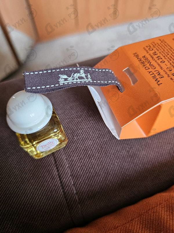 Купить Twilly D'Hermes Eau Ginger от Hermes