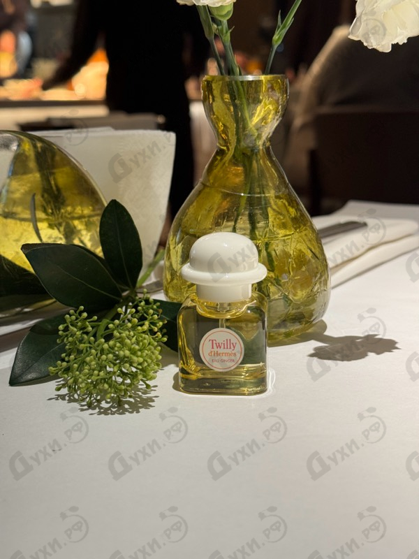 Купить Twilly D'Hermes Eau Ginger от Hermes Купить Hermes Twilly D'Hermes Eau Ginger