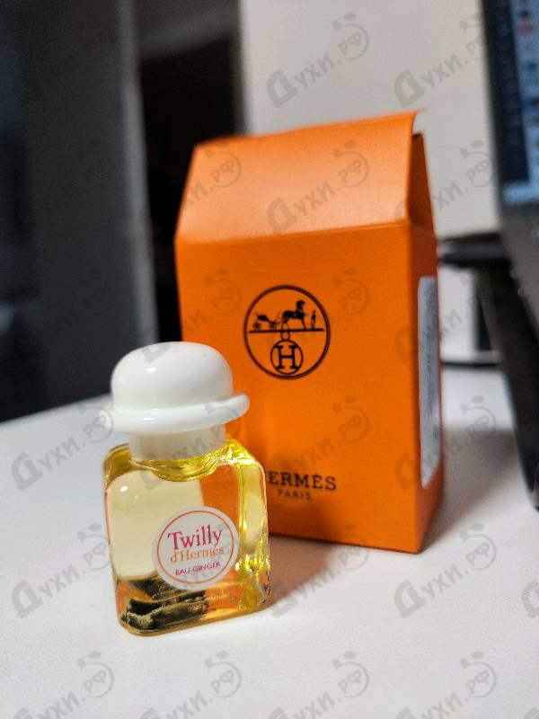 Купить Twilly D'Hermes Eau Ginger от Hermes