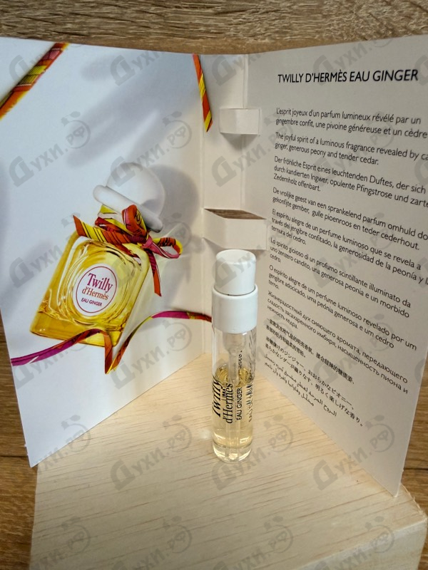Купить Twilly D'Hermes Eau Ginger от Hermes
