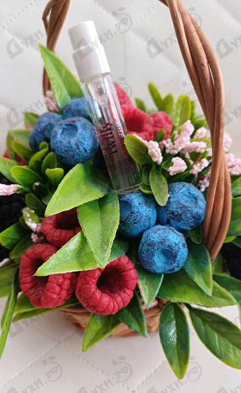 Отзывы Hermes Twilly D'Hermes Eau Ginger