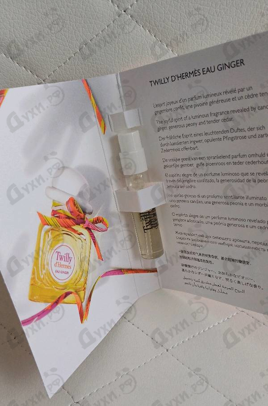 Купить Twilly D'Hermes Eau Ginger от Hermes