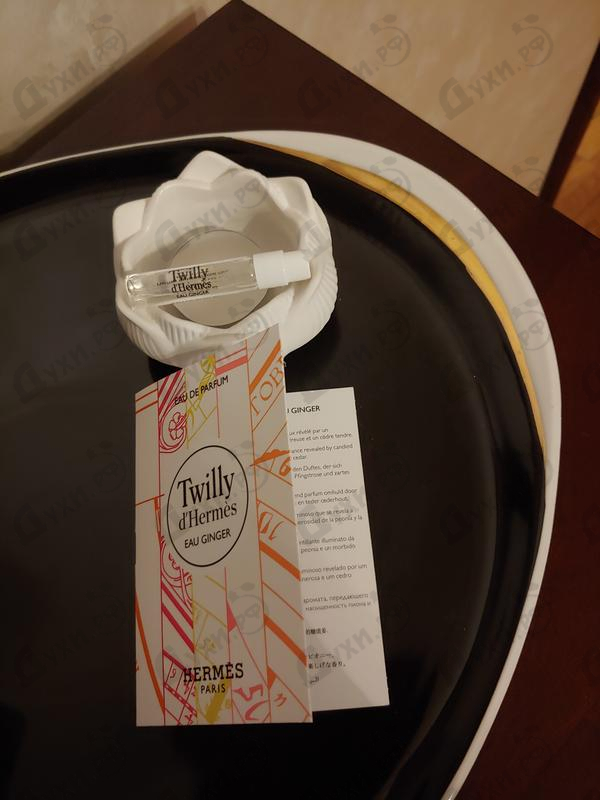 Купить Twilly D'Hermes Eau Ginger от Hermes Парфюмерия Hermes Twilly D'Hermes Eau Ginger