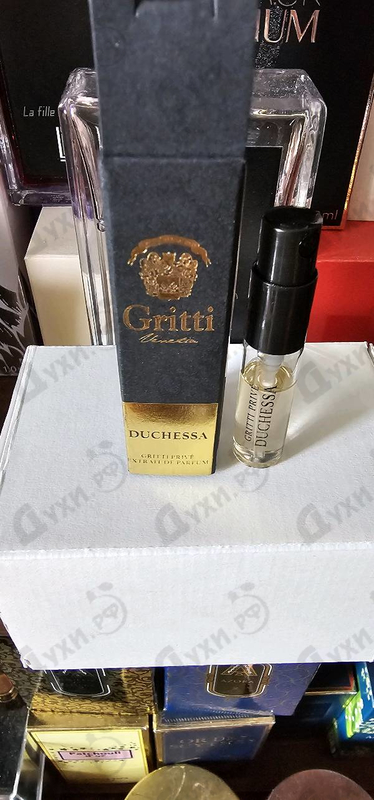Купить Duchessa от Gritti