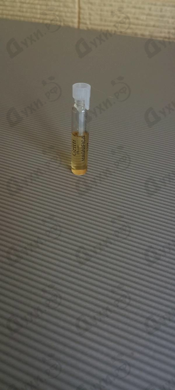 Купить Magnifica Lux от Gritti