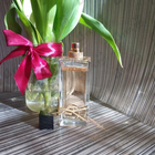 Отзыв Yves Saint Laurent Libre Eau De Toilette