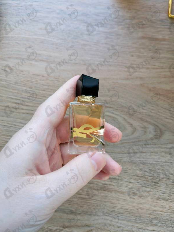 Купить Libre Eau De Toilette от Yves Saint Laurent