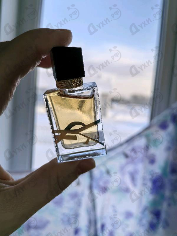Отзывы Yves Saint Laurent Libre Eau De Toilette