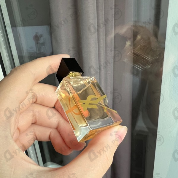 Духи Libre Eau De Toilette от Yves Saint Laurent Парфюмерия Yves Saint Laurent Libre Eau De Toilette