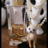 Парфюмерия Libre Eau De Toilette от Yves Saint Laurent