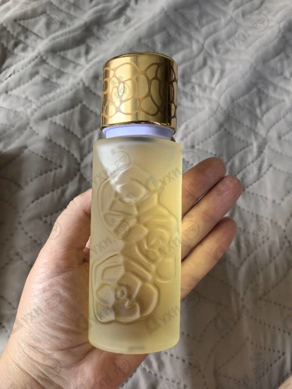 Парфюмерия Quelques Fleurs L'Original от Houbigant