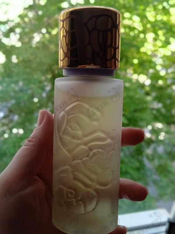 Купить Houbigant Quelques Fleurs L'Original