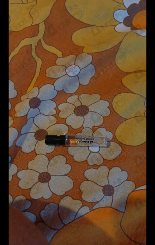 Купить Alphaora 30 от Pierre Guillaume