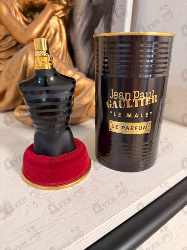 Купить Le Male Le Parfum от Jean Paul Gaultier