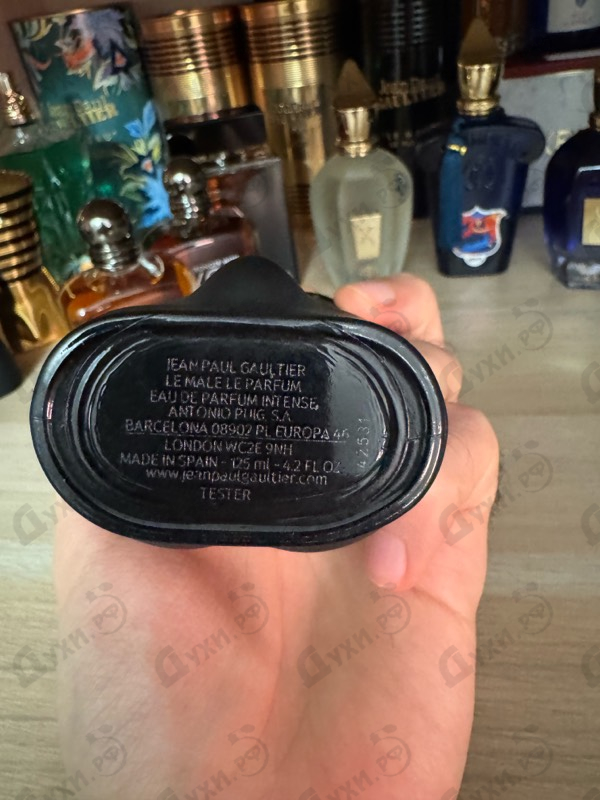 Купить Le Male Le Parfum от Jean Paul Gaultier