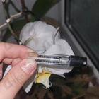 Отзывы Louis Vuitton Imagination