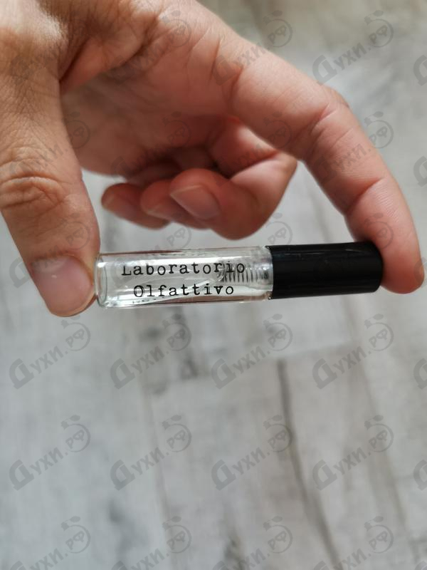 Парфюмерия Laboratorio Olfattivo Bergamotto Парфюмерия Bergamotto от Laboratorio Olfattivo