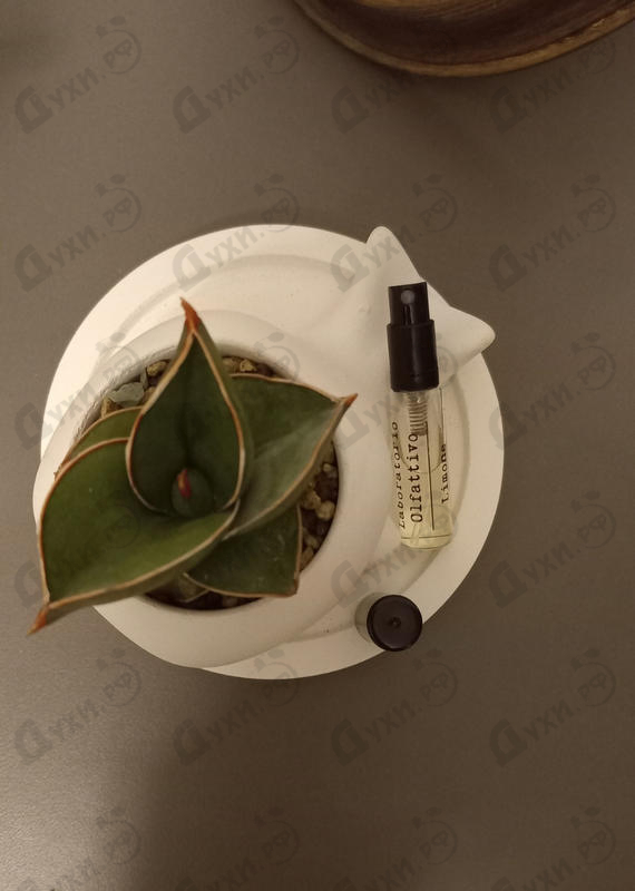 Отзыв Laboratorio Olfattivo Limone