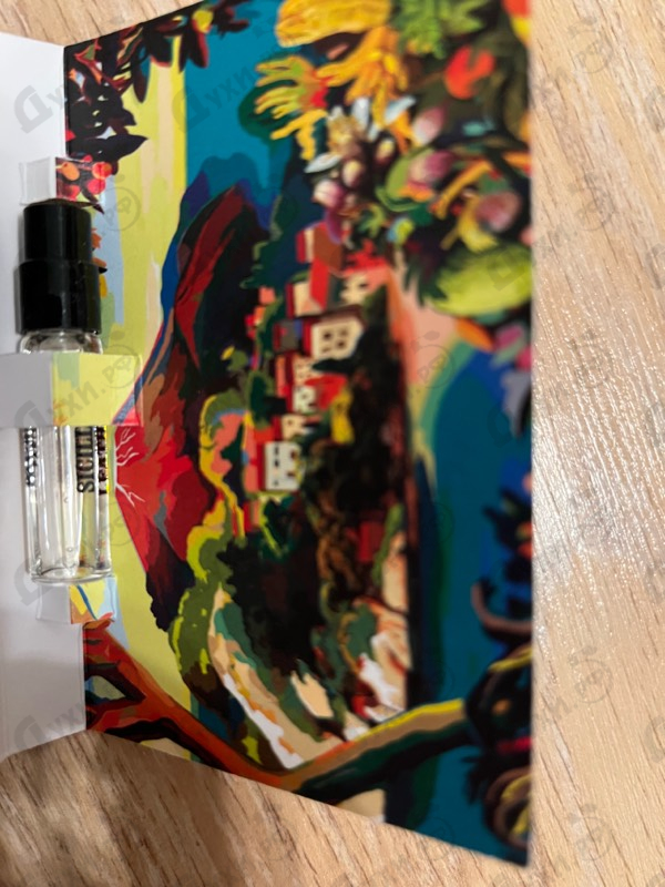 Купить Memo Sicilian Leather