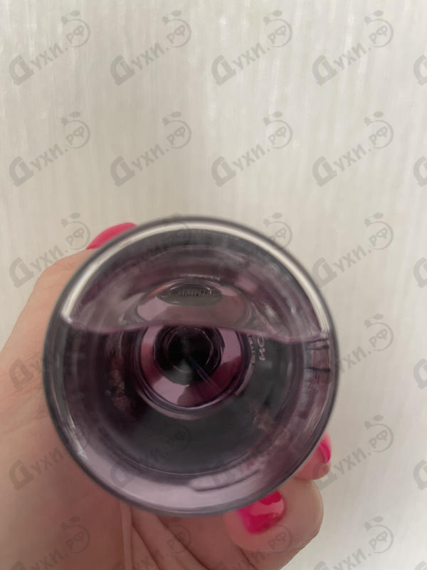 Купить Louis Vuitton Heures D'Absence