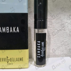 Отзыв Pierre Guillaume Sambaka