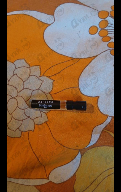 Купить Pierre Guillaume Hapyang 15.1