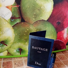Парфюм Christian Dior Sauvage Elixir