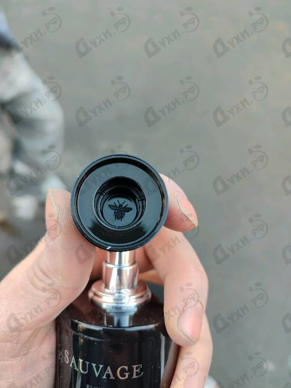 Парфюмерия Sauvage Elixir от Christian Dior