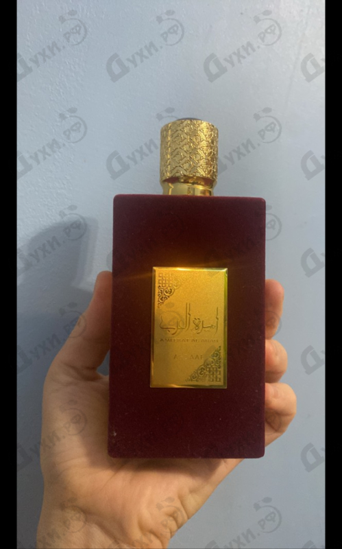 Купить Lattafa Perfumes Ameerat Al Arab