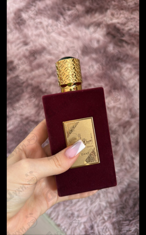 Купить Ameerat Al Arab от Lattafa Perfumes