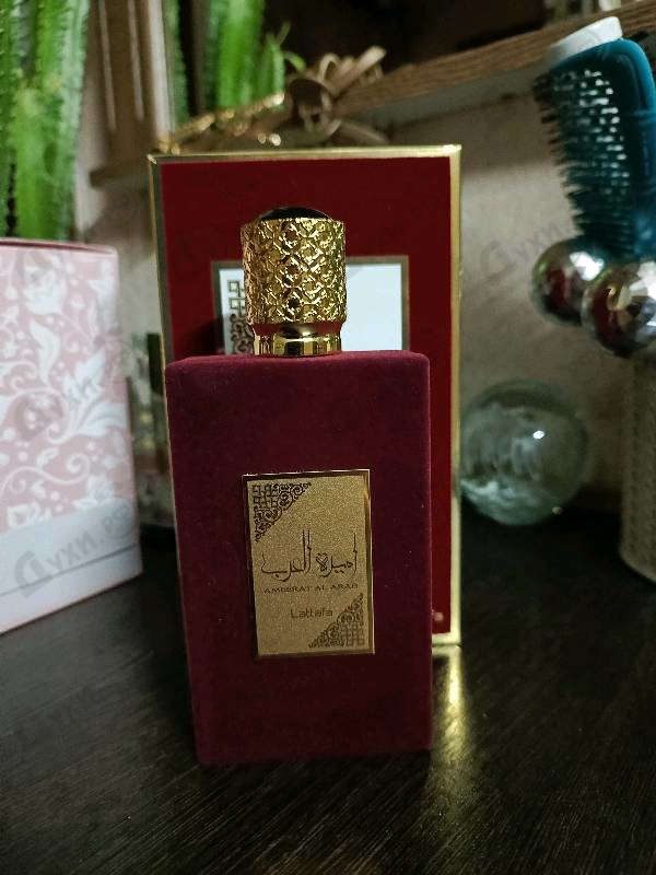 Купить Ameerat Al Arab от Lattafa Perfumes