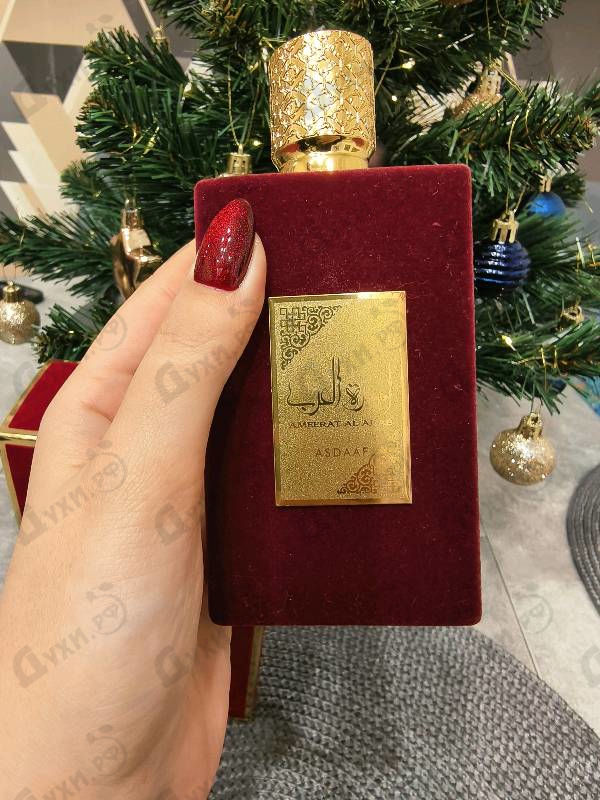 Купить Lattafa Perfumes Ameerat Al Arab