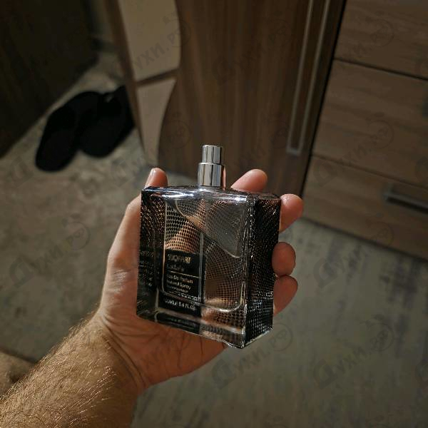 Купить Suqraat от Lattafa Perfumes