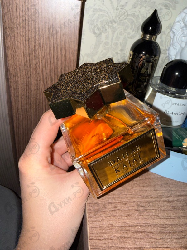 Купить Kajal Dahab