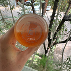 Отзыв Byblos Fuoco