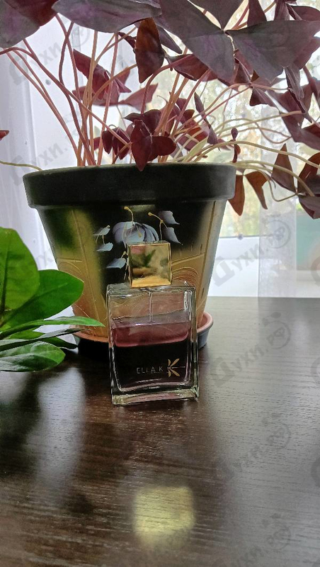 Отзыв Ella K Memoire De Daisen In