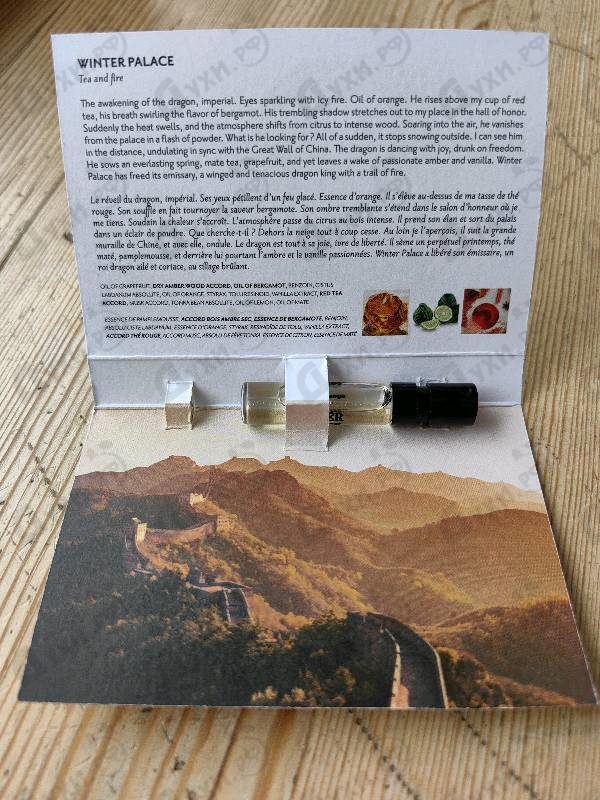 Отзыв Memo Winter Palace