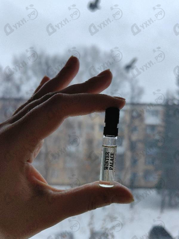 Отзывы Memo Winter Palace