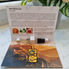 Отзыв Memo Winter Palace