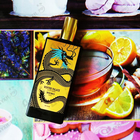 Отзывы Memo Winter Palace