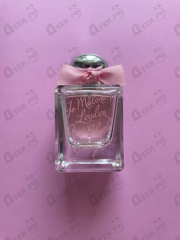Парфюмерия Rose Blush от Jo Malone Отзывы Jo Malone Rose Blush