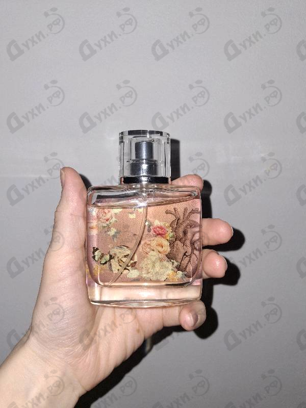 Отзывы Genty G.ART Collection He_Art