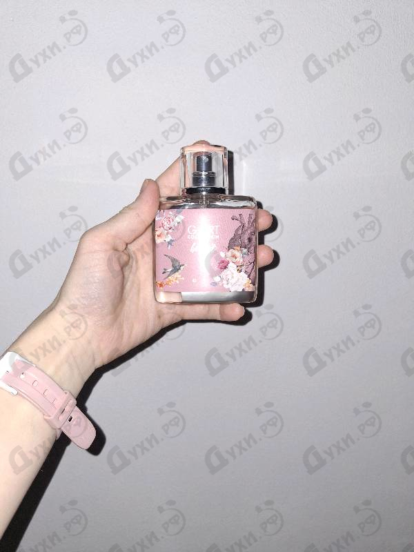 Отзывы Genty G.ART Collection He_Art