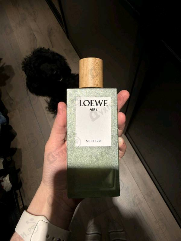 Духи Aire Sutileza от Loewe