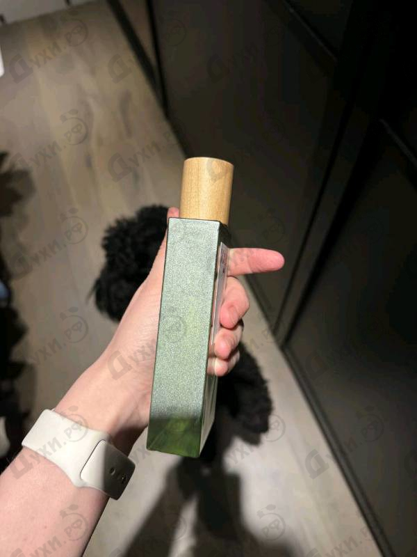 Отзывы Loewe Aire Sutileza