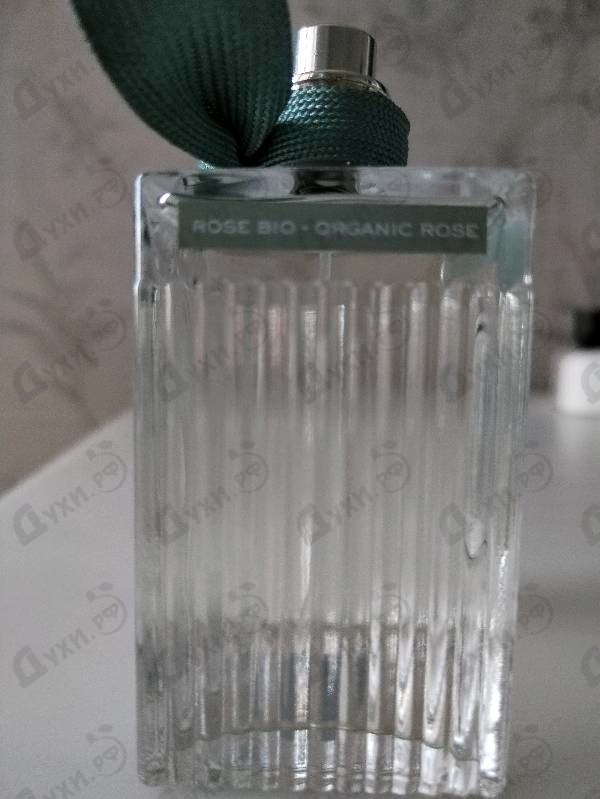 Купить Chloe Chloe Eau De Parfum Naturelle