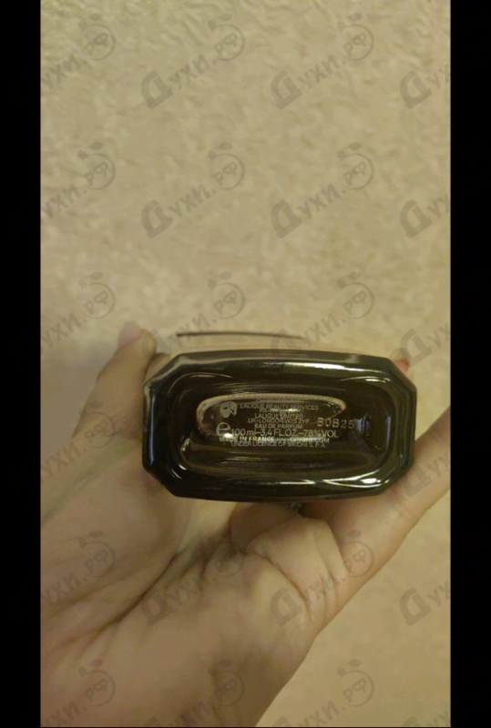 Купить Brioni Eau De Parfum 2021 от Brioni