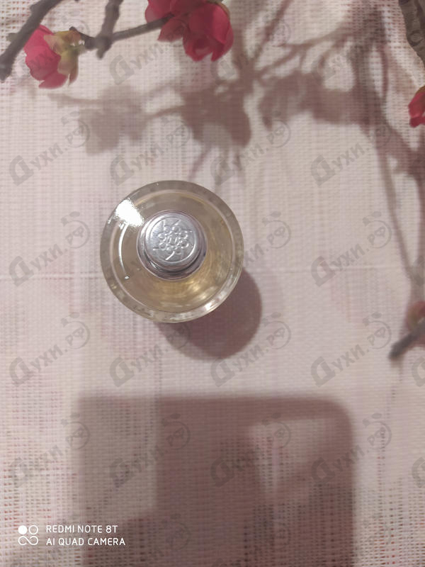 Духи Le Petit Chocolatier от Nobile 1942