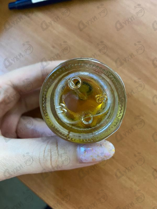 Парфюмерия Le Petit Chocolatier от Nobile 1942 Отзыв Nobile 1942 Le Petit Chocolatier