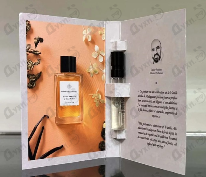 Духи Divine Vanille от Essential Parfums